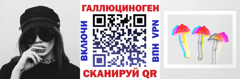 Купить закладки  Белогорск  Псилоцибиновые грибы GOLDEN TEACHER 